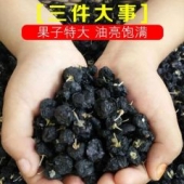 正品青海野生黑枸杞干正宗黑枸杞子100g[野生大果袋装]