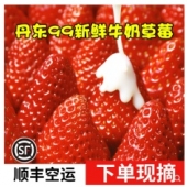 5斤大果丹东九九草莓新鲜奶油大草莓孕妇水果送礼礼盒99牛奶红颜大草莓