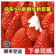 5斤大果丹东九九草莓新鲜奶油大草莓孕妇水果送礼礼盒99牛奶红颜大草莓