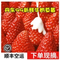 5斤大果丹东九九草莓新鲜奶油大草莓孕妇水果送礼礼盒99牛奶红颜大草莓