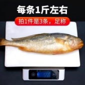 黄花鱼 新鲜海鲜海鱼当天冷冻水产深海鱼鲜活大黄鱼3斤整箱包邮