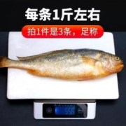 黄花鱼 新鲜海鲜海鱼当天冷冻水产深海鱼鲜活大黄鱼3斤整箱包邮