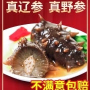 野生海参即食大连海参500g鲜活辽参海生刺参单个装礼盒速食特价