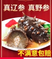 野生海参即食大连海参500g鲜活辽参海生刺参单个装礼盒速食特价
