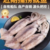 鱿鱼鲜活冷冻新鲜超大鱿鱼尤鱼整只海捕船冻烧烤铁板商用海鲜水产