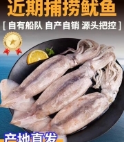 鱿鱼鲜活冷冻新鲜超大鱿鱼尤鱼整只海捕船冻烧烤铁板商用海鲜水产